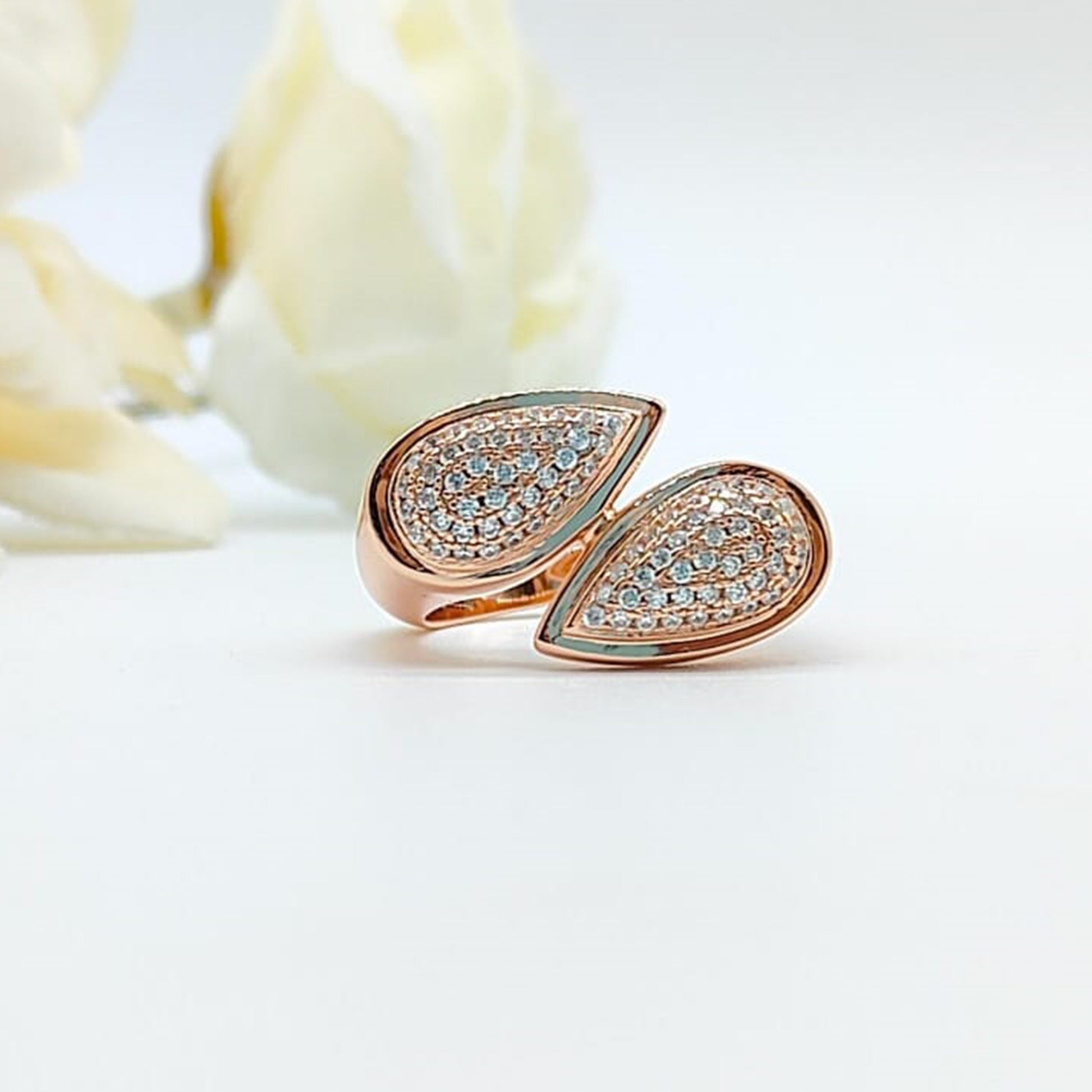 RINGS [FR-28062509]