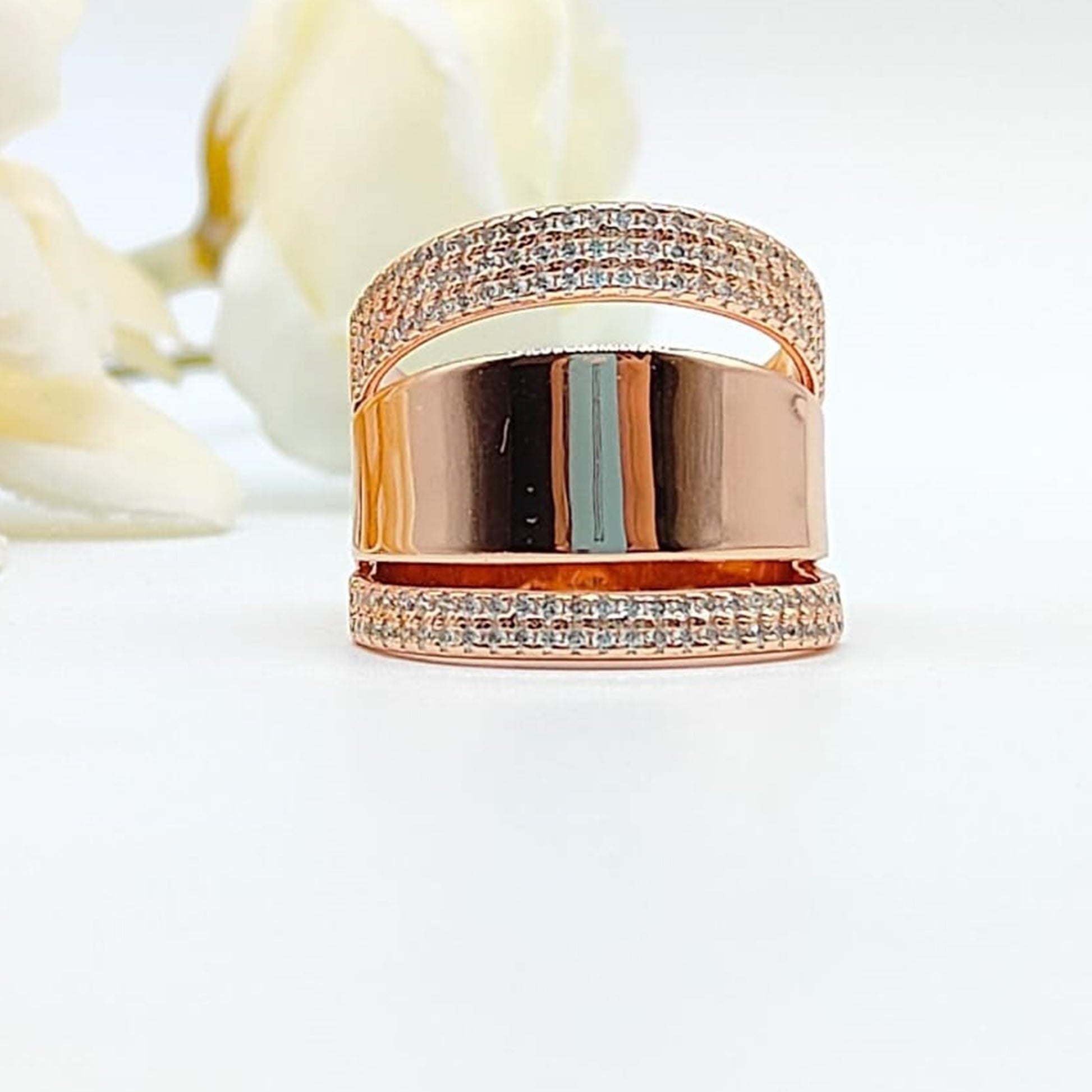 RINGS [FR-28062513]