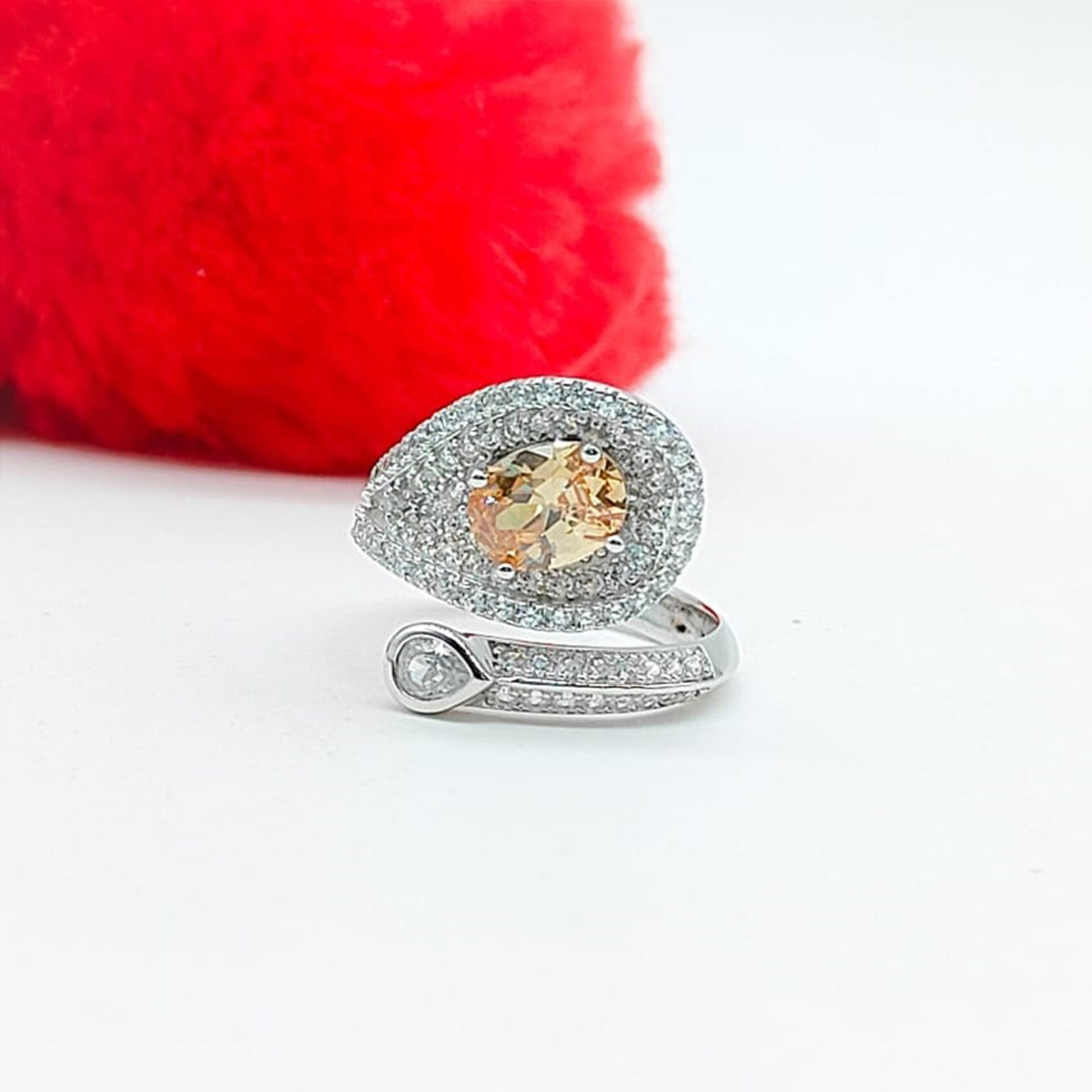 RINGS [FR-28062548]