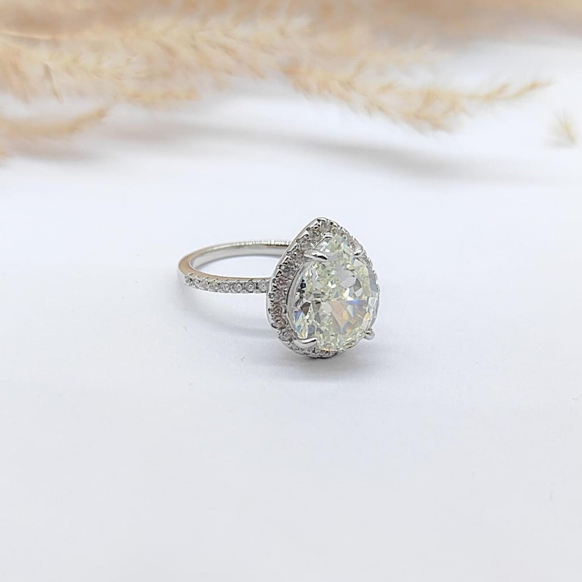 RINGS [FR-28062591]